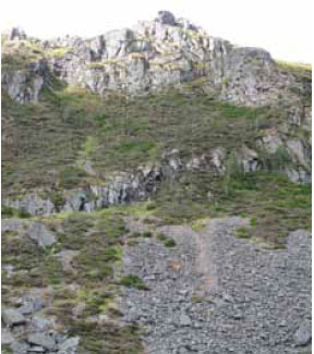  Photo B3.16 An outcrop of rock that has broken fuel continuity and could prevent fire spread