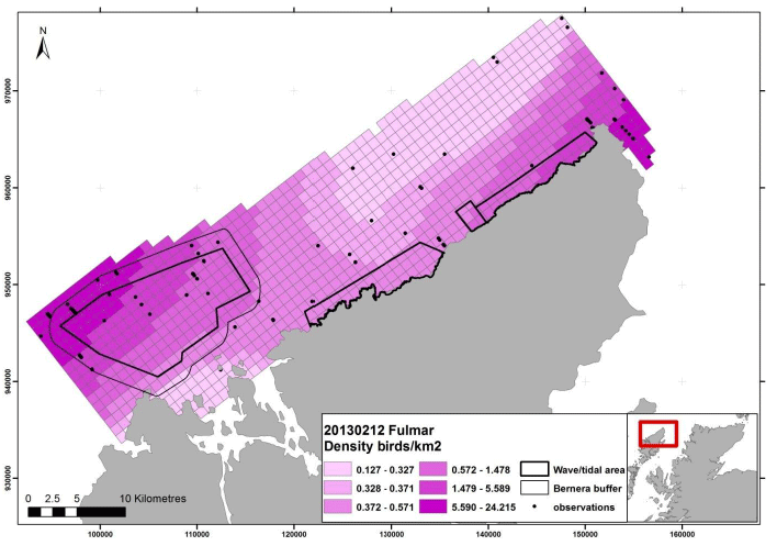 Figure 132 - February fulmar density surface model from digital aerial survey