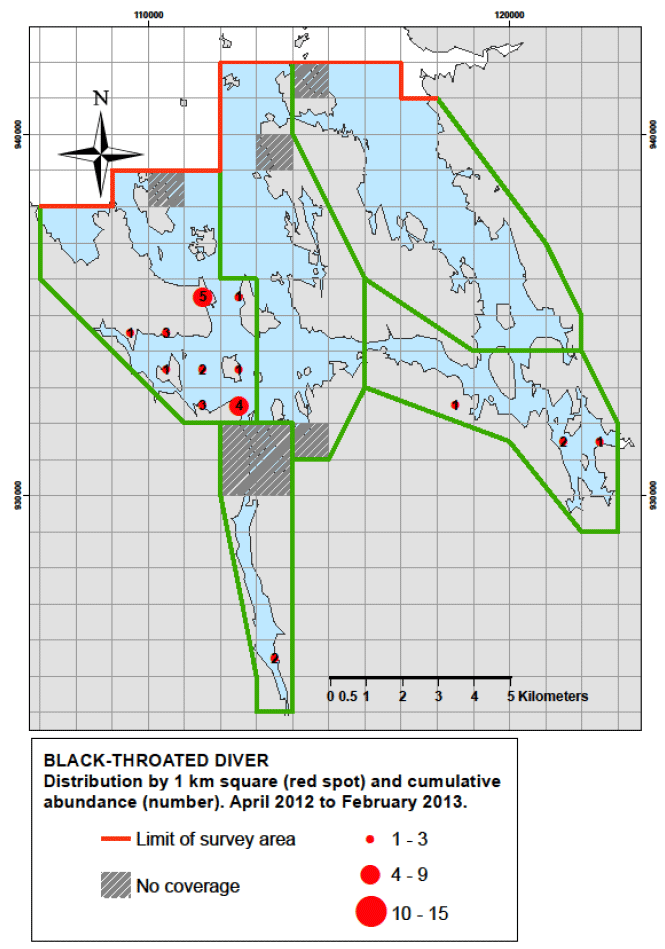 Figure 89 - Black-throated diver distribution by 1km square and cumulative abundance, April 2012 – February 2013