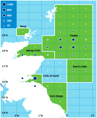 Distribution of Scottish Nephrops Landings (Tonnes) in The North Sea in 2012 (UK Vessels into Scotland