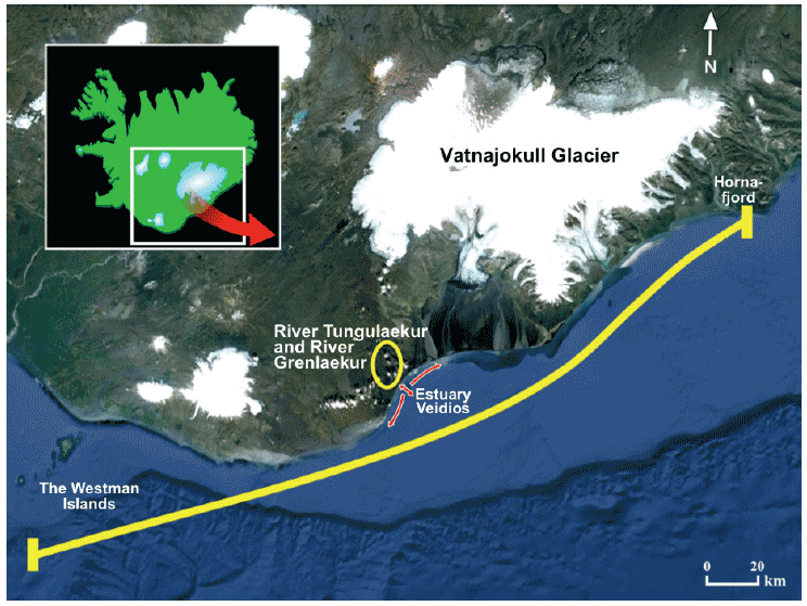 Fig. 1. Map of the coast of south Iceland, showing the area that the DST tagged sea trout are likely to have migrated through