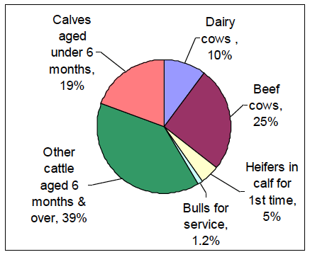 Chart 13: Cattle population, June 2012