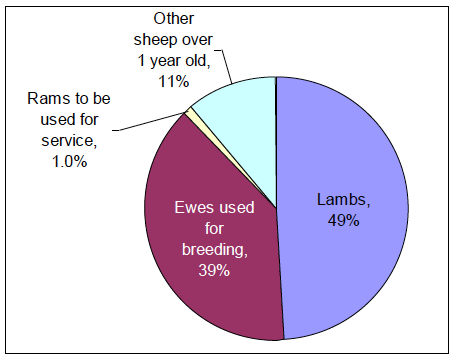 Chart 15: Sheep population, June 2012