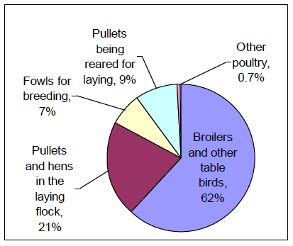 Chart 19: Poultry population, June 2012