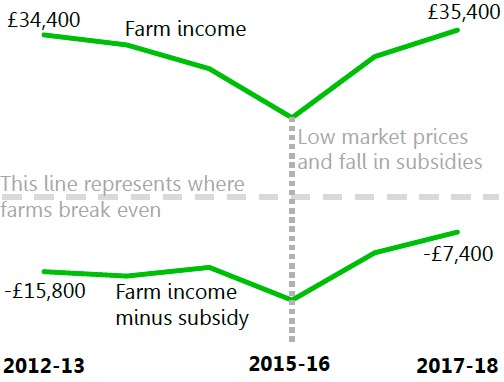 Farm business income rises but still dependent on support
